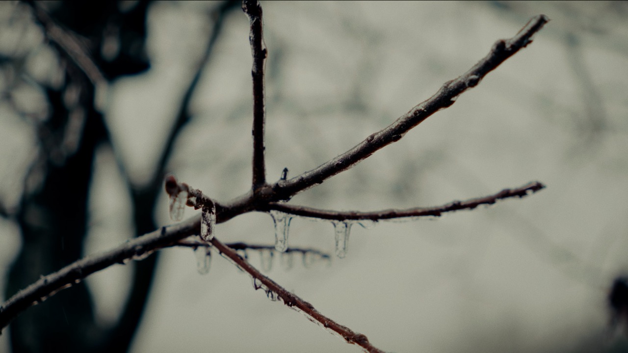Winter 4