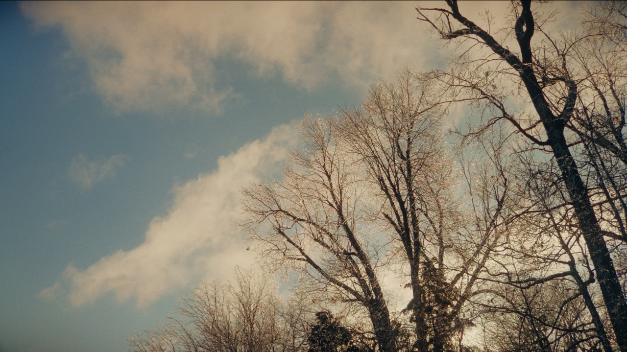 Winter 6