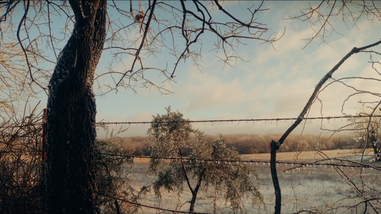 Winter 7